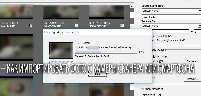 как импортировать фото с камеры сканера или смартфона